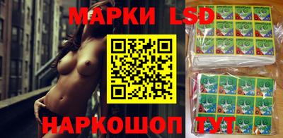 гидропоника Гатчина