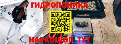 соль курить ск Гагарин